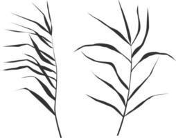 Image of a green reed or bulrush on a white background.Isolated vector drawing.