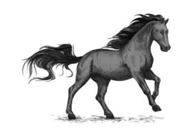 Running black horse for equestrian sport vector