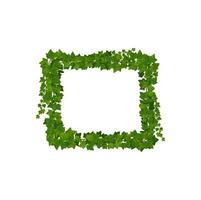 Ivy green leaves and jungle lianas square frame vector