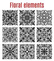 Floral borders and ornate vector elements