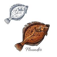 Flounder flatfish sketch for seafood design vector