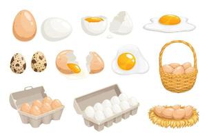 Cartoon eggs in basket, tray box, nest, quail eggs vector