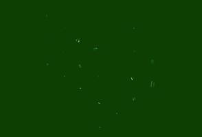 Light black vector background with bubbles.