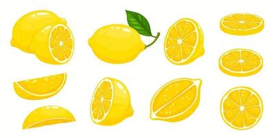 Cartoon lemon fruit slices cut and whole with leaf vector