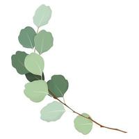 Tree branch. Twig. Leaves. vector