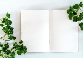 cuaderno de papel blanco con hojas verdes como marco foto