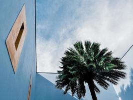 Low angle view of a plam tree in a blue courtyard against blue sky photo