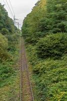 Railway in the green landscape photo