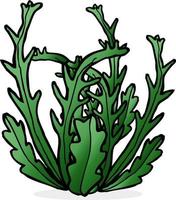 doodle cartoon seaweed vector