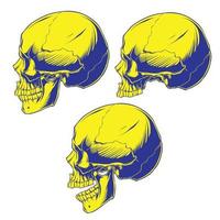 skull set facing side with a blue line with a yellow vector