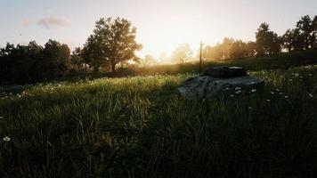 vast grassland The sun is leaving the horizon 3D rendering photo