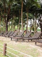 Lounge chair  in the garden at resort photo