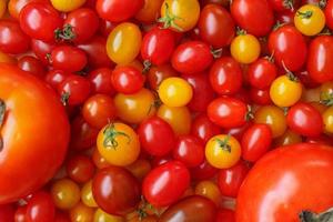 Variety of colorful organic tomato background photo