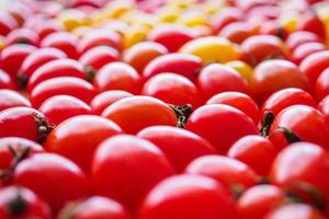 Red ripe organic tomato background photo