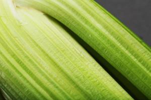 Fresh celery stalks on a black textured background. photo