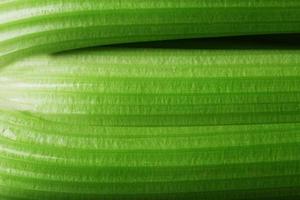 Green stalks of celery close-up in full screen. photo