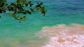 secreto plátano playa bahía panorama turquesa agua clara phuket tailandia. video