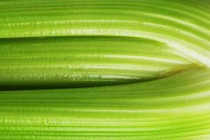 Green stalks of celery close-up in full screen. photo