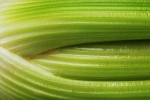 Fresh celery stalks close-up as a full-screen texture. photo