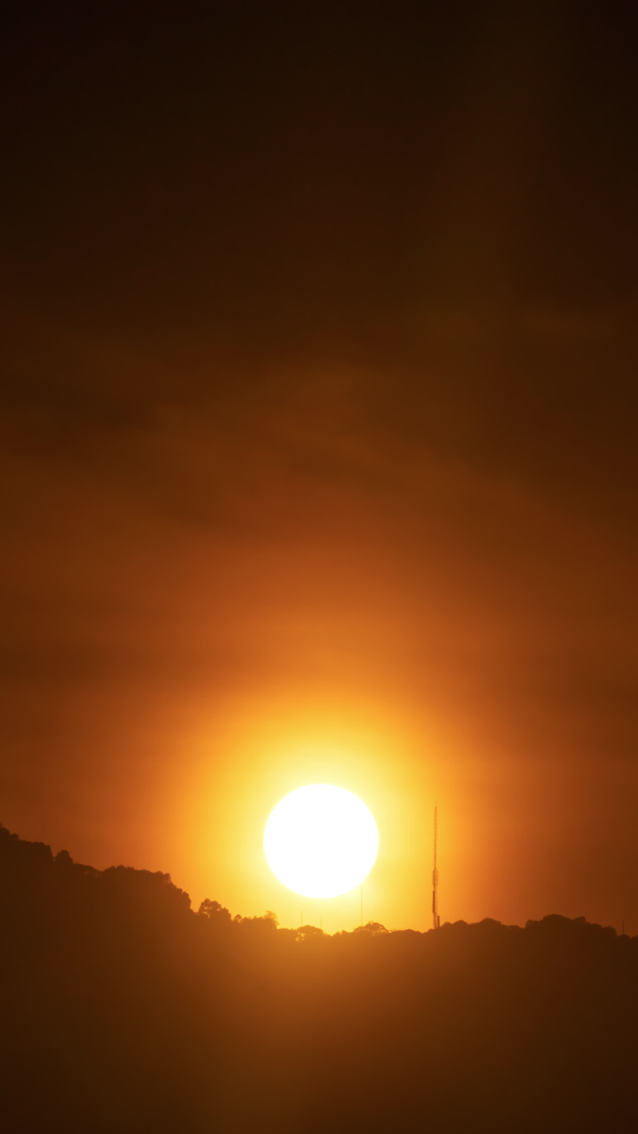 Sunny Summer Stock Video Footage for Free Download