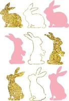 Rabbit Silhouette isolated in white background with golden line. vector