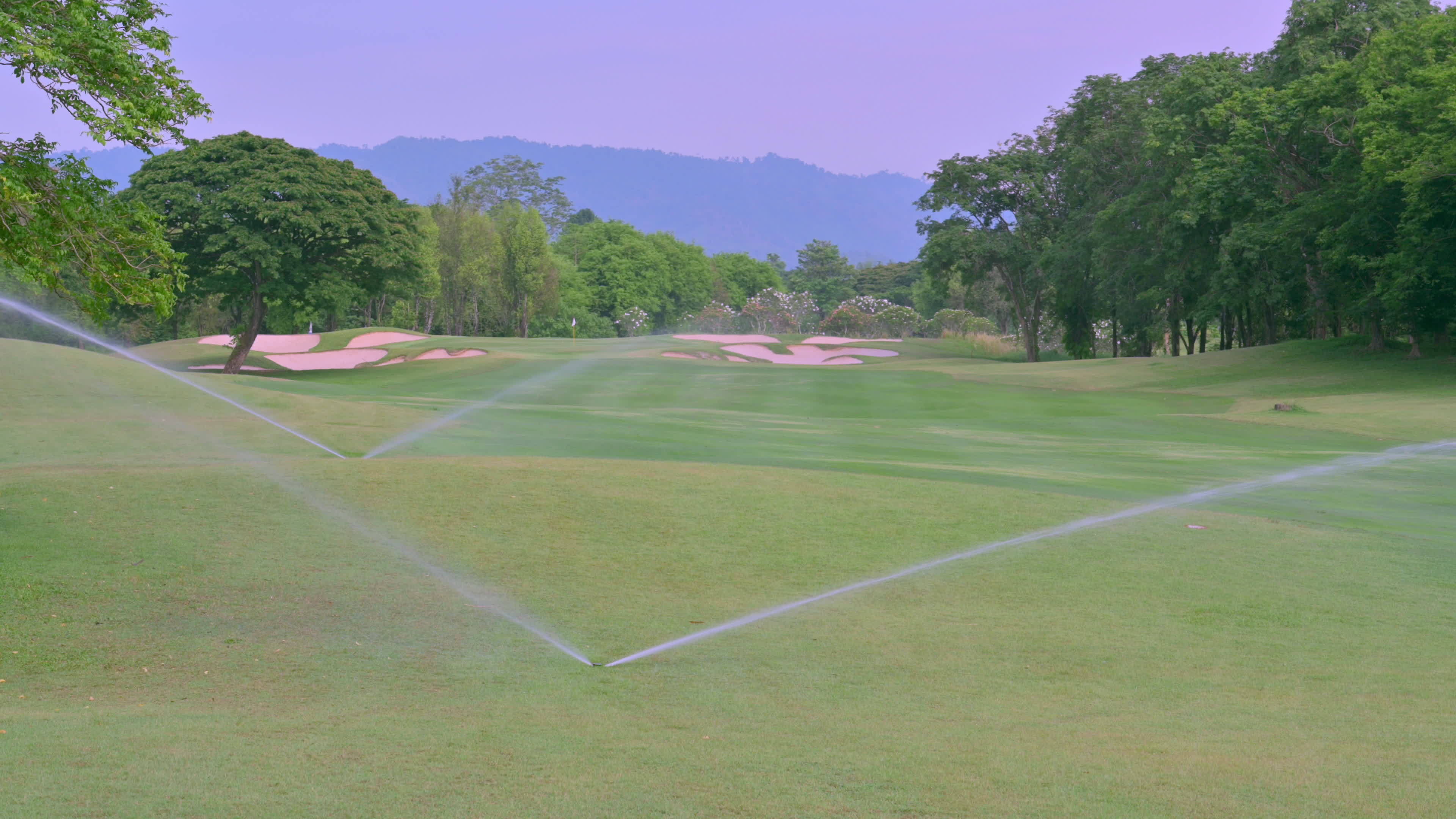 Großer Wasserstrahl Sprinkler auf dem Golfplatz am Nachmittag