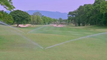 Gran corriente de aspersores de agua en el campo de golf por la tarde. video