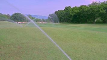 grande ruscello di acqua irrigatori su il golf corso nel il pomeriggio. video