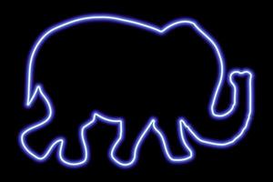 fuerza de neón azul de elefante caminando sobre un fondo negro vector