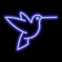 Neon blue outline of hummingbirds on a black background. One object. Vector icon illustration