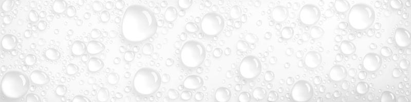 gotas de agua de condensación sobre fondo blanco, lluvia vector