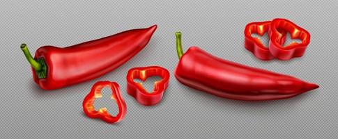 Red chili pepper, hot spicy paprika cayenne vector