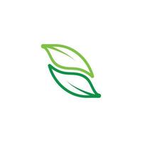 linked leaf lines art curves logo vector