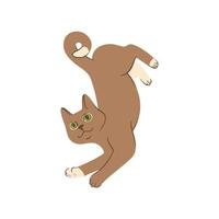 Lying grey cat in doodle style. Colored playful cat. Vector illustration