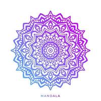 mandalas aisladas vector color de moda decoración pacífica potenciador de energía para marca y web o elemento de impresión