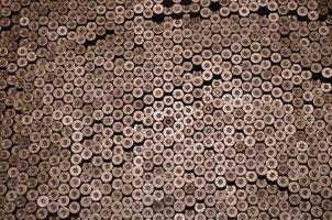 Pattern of 12 gauge cartridges for shotgun bullets. Shells for hunting rifle close up. Backdrop for shooting range or ammunition trade concepts photo