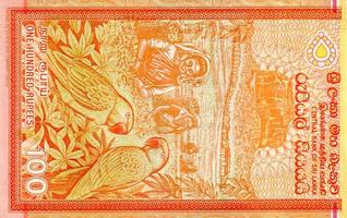 Fragment of 100 Sri Lanka rupees banknote is national currency of Sri Lanka photo