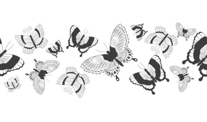 Seamless border banner with abstract black silhouette of cute flying butterflies isolated on white background for decorative tape