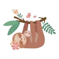 Vector illustrator of Sloth