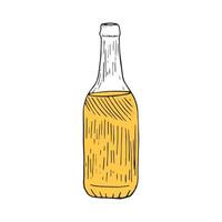 ilustrador vectorial de botella de cerveza vector