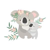 ilustrador vectorial de koala vector