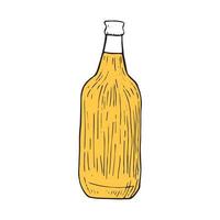 Vector illustrator of  Beer bottle