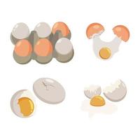 conjunto de huevos de gallina vector