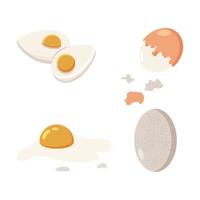 conjunto de huevos de gallina vector