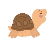 ilustrador vectorial de tortuga vector