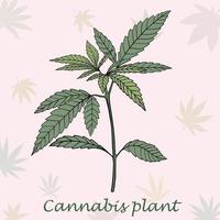 simplicidad planta de cannabis dibujo a mano alzada diseño plano. vector