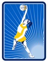 Netzballspieler, der nach Ball springt png