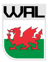 Flagge von Wales-Symbol png
