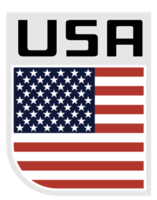 USA flagga ikon png