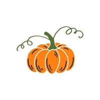 calabaza. elementos de acción de gracias y halloween. ilustración vectorial dibujada a mano. vector